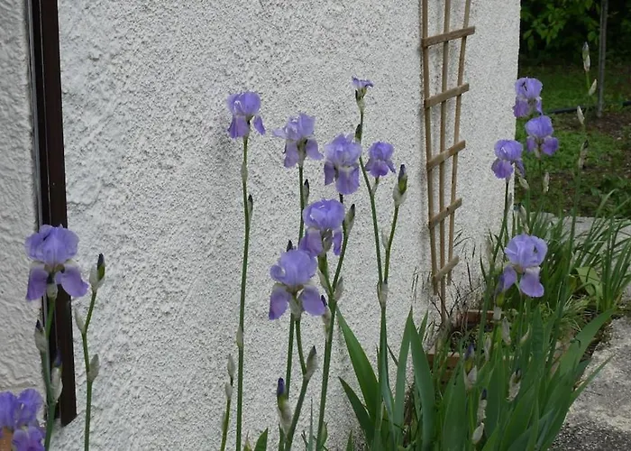 Komfortables Haus Fuer Familien, Freunde Und Motorradfahrer קסטלאנטה